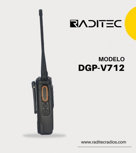DGP-V712 (3)